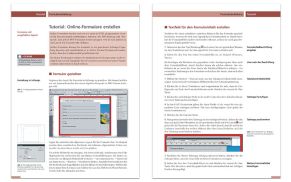 Wie Sie ansprechende PDF-Formulare in InDesign erstellen
