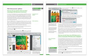 Wie Sie PDF-Dokumente in Adobe Acrobat gezielt splitten