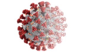 Wie Sie das neuartige Coronavirus mit unterschiedlichen Techniken illustrieren (Teil 1)