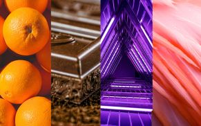 Farbwirkungen verstehen und gezielt einsetzen – Orange, Braun, Violett und Rosa