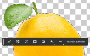 Wie Sie die neue kontextbezogene Taskleiste in Adobe Photoshop verwenden