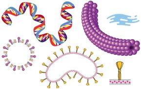 Wie Sie das neuartige Coronavirus mit unterschiedlichen Techniken illustrieren (Teil 2)