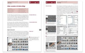Wie Sie mit der Adobe Bridge Bilder verwalten