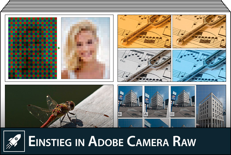 Einstieg in Adobe Camera Raw (ACR)